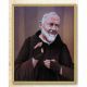 Saint Pio 8x10 inch Gold Framed Everlasting Plaque (2 Pack) - 846218041844 - 810-522
