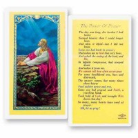 25pk - The Power of Prayer with Christ in the Garden Laminated Holy Card  Pk 25