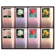 Aurora Rose with Verse Eight-Up Micro Perforated Holy Cards