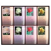 Aurora Rose with Verse Eight-Up Micro Perforated Bulk Prayer-Cards  - 125 sheets (1000 total cards)