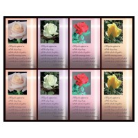 Aurora Rose with Verse Eight-Up Micro Perforated Bulk Prayer-Cards  - 125 sheets (1000 total cards)