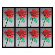 Aurora Red Rose Eight-Up Micro Perforated Bulk Prayer-Cards  - 125 sheets (1000 total cards)
