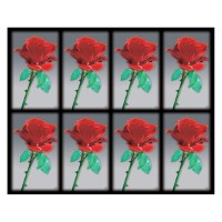 Aurora Red Rose Eight-Up Micro Perforated Bulk Prayer-Cards  - 125 sheets (1000 total cards)