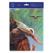 3pk - 8" x 10" Hook: The Lost Sheep Print  (sold in inc. of 3)