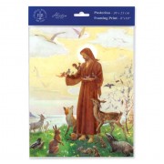 3pk - 8" x 10" St. Francis Print  (sold in inc. of 3)