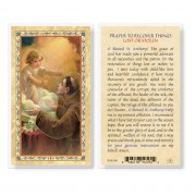 25pk - Prayer To Recover Lost Things Gold Stamped Laminated Holy Card  Pk 25