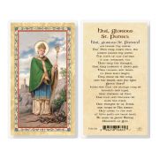 St Patrick Hail, Glorious Saint Laminated Holy Card. Inc. of 25