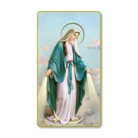100pk - Our Lady of Grace Prayer-Card