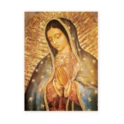 19" x 27" Our Lady of Guadalupe Poster
