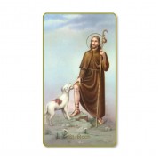 100pk - Saint Roque Prayer-Card