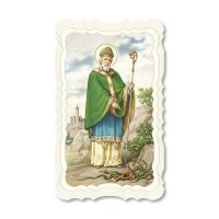 St. Patrick Prayer-Card
