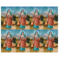 Saint Agatha Eight-Up Micro Perforated Bulk Prayer-Cards - 125 sheets (1000 total cards) Saint Agatha Eight-Up Micro Perforated Bulk Prayer-Cards - 125 sheets (1000 total cards)