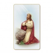 Christ in the Garden Prayer-Card