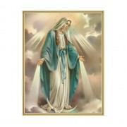 11" x 14" Gold Plaque Frame with a Our Lady of Grace Print