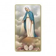 Our Lady of Grace with Miraculous Medal Prayer-Card