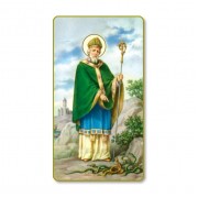100pk - Saint Patarick Prayer-Card