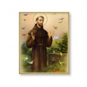 11" x 14" Gold Plaque Frame with a Saint Francis of Assisi Print