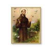 11" x 14" Gold Plaque Frame with a Saint Francis of Assisi Print