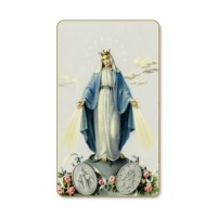 Our Lady of Grace with Miraculous Medal Cardinal Series Prayer-Cards