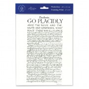 3pk - 8" x 10" Go Placidly Print  (sold in inc. of 3)