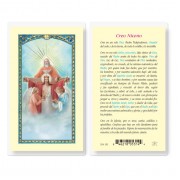 25pk - Credo De Nicea Laminated Holy Card Pk 25