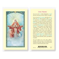25pk - Credo De Nicea Laminated Holy Card Pk 25