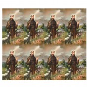 Saint Francis Eight-Up Micro Perforated Bulk Prayer-Cards  - 125 sheets (1000 total cards)