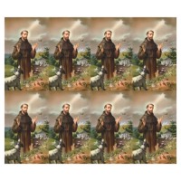 Saint Francis Eight-Up Micro Perforated Bulk Prayer-Cards - 125 sheets (1000 total cards) Saint Francis Eight-Up Micro Perforated Bulk Prayer-Cards - 125 sheets (1000 total cards)