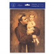 3pk - 8" x 10" Chambers: St. Anthony with Jesus Print  (sold in inc. of 3)