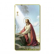 100pk - Christ in the Garden Prayer-Card