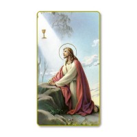 100pk - Christ in the Garden Prayer-Card 100pk - Christ in the Garden Prayer-Card
