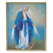 8" x 10" Gold Plaque Frame with a Our Lady of Grace Print
