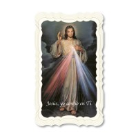 Divine Mercy Spanish Prayer-Card