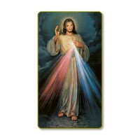 100pk - The Divine Mercy Prayer-Card