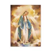 19" x 27" Our Lady of Grace Poster
