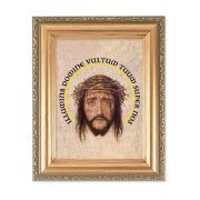5.5" x 7" Antique Gold Frame with a Veronica's Veil Print