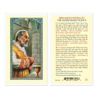 25pk - Saint Pio Efficacious Laminated Holy Card  Pk 25