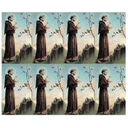 St Francis Eight-Up Micro Perforated Holy Cards